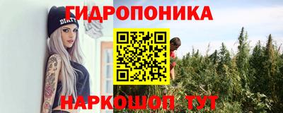 спиды Новокубанск