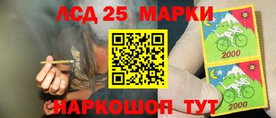 ECSTASY Новозыбков
