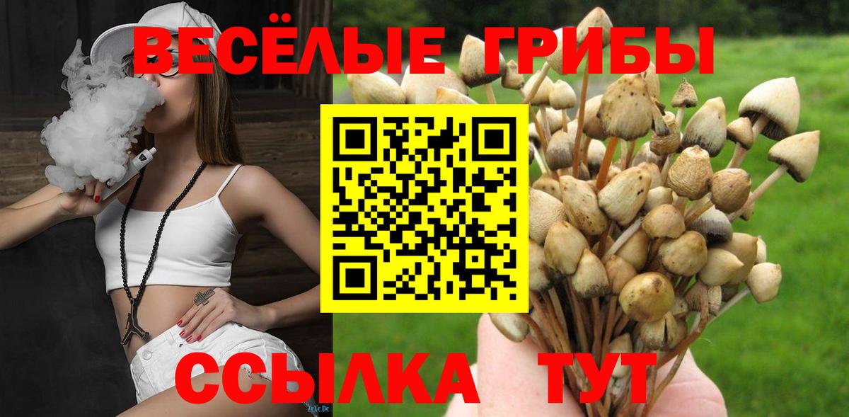 закладки  Вход с VPN  Феодосия  Псилоцибиновые грибы Cubensis 